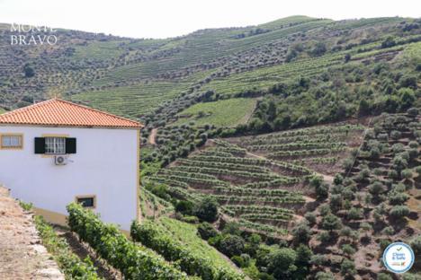 Quinta Do Monte Bravo - Douro - Quarto Duplo Villa Ervedosa do Douro Exteriör bild