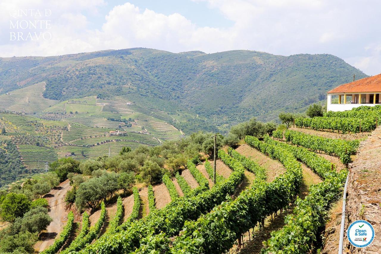 Quinta Do Monte Bravo - Douro - Quarto Duplo Villa Ervedosa do Douro Exteriör bild