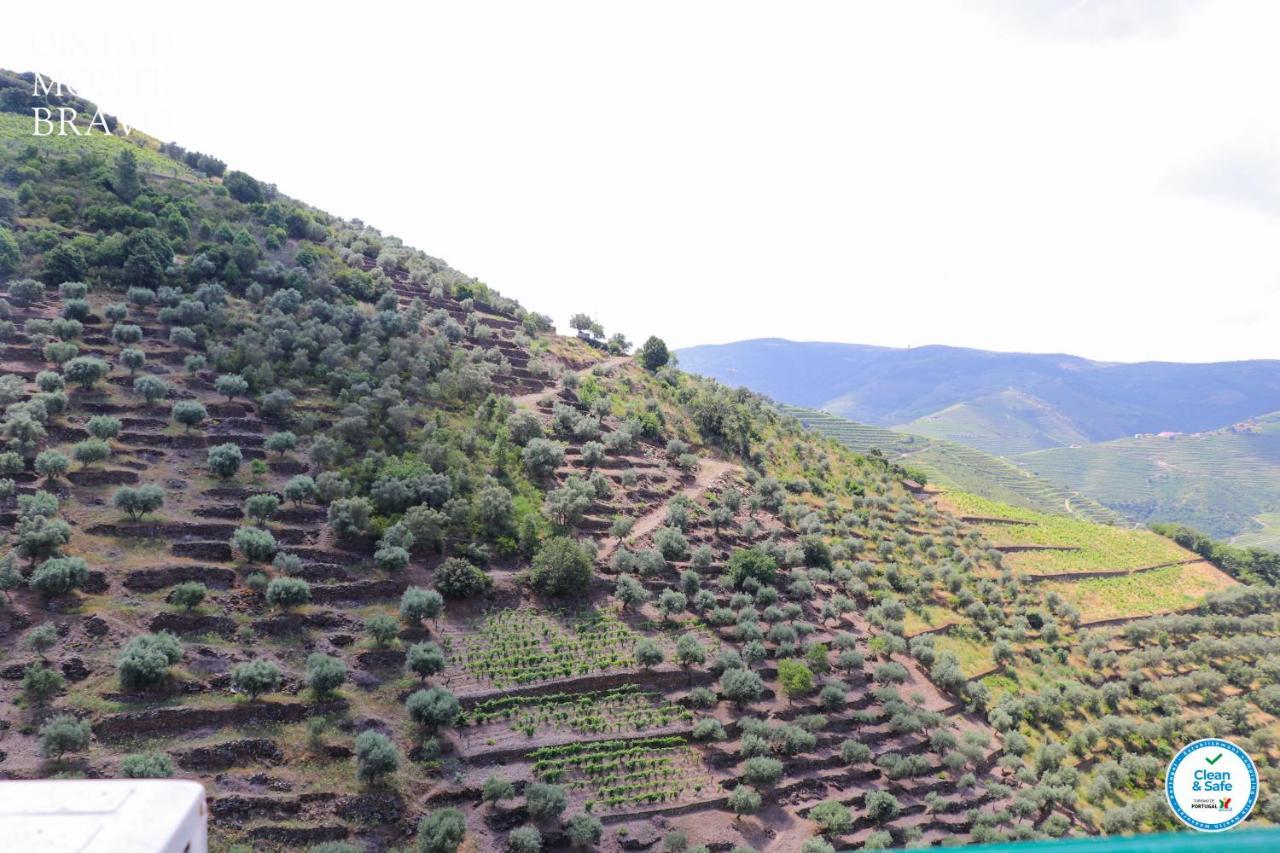 Quinta Do Monte Bravo - Douro - Quarto Duplo Villa Ervedosa do Douro Exteriör bild