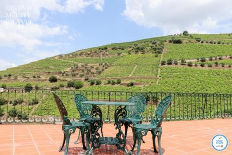 Quinta Do Monte Bravo - Douro - Quarto Duplo Villa Ervedosa do Douro Exteriör bild